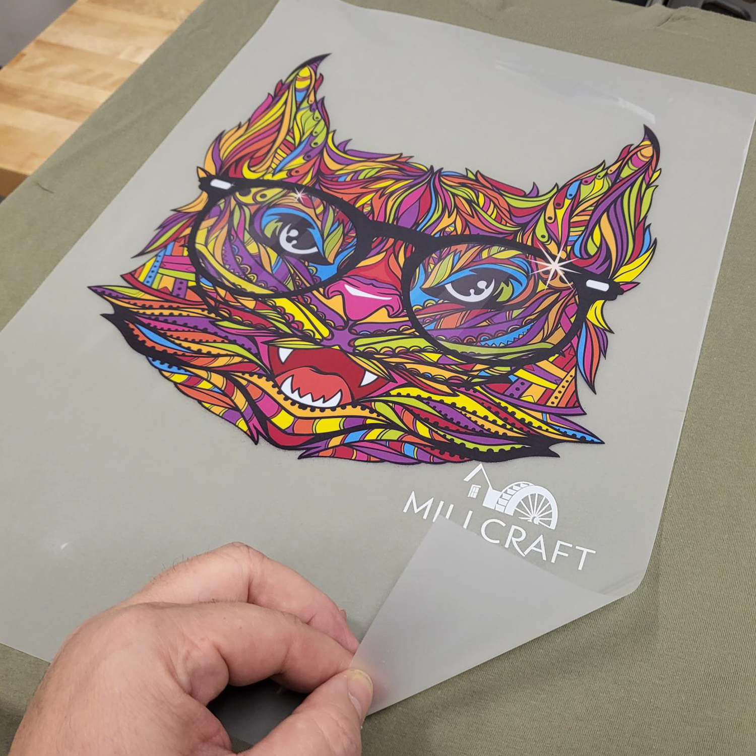 dtf-cat-glasses